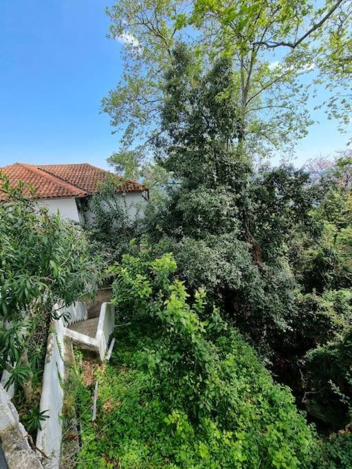 Kapsala'S Family Home Agios Ioannis  Eksteriør billede